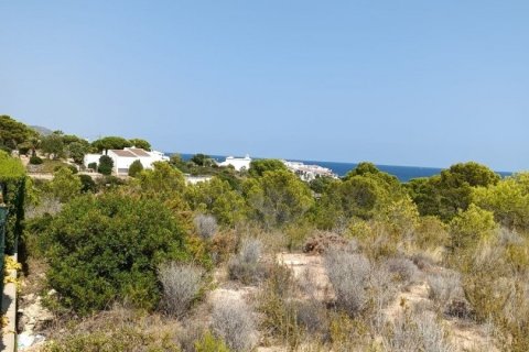Parcela de 4000 m² en venta en L'Ametlla de Mar, Tarragona, Cataluña, Spain № 4997 - foto 3