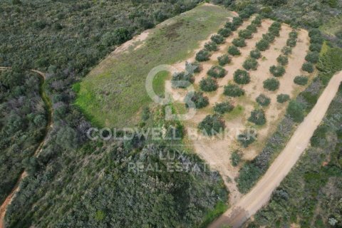 Parcela de 1300000 m² en venta en Garriguella, Gerona, Cataluña, Spain № 5754 - foto 2