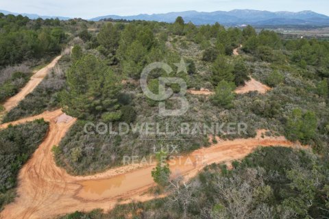 Parcela de 1300000 m² en venta en Garriguella, Gerona, Cataluña, Spain № 5754 - foto 4