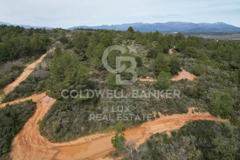 Parcela de 1300000 m² en venta en Garriguella, Gerona, Cataluña, Spain № 5754 - foto 8