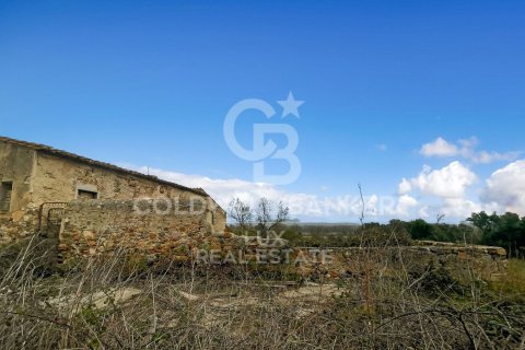Parcela de 1300000 m² en venta en Garriguella, Gerona, Cataluña, Spain № 5754 - foto 3