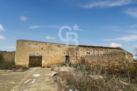 Parcela de 1300000 m² en venta en Garriguella, Gerona, Cataluña, Spain № 5754 - foto 5