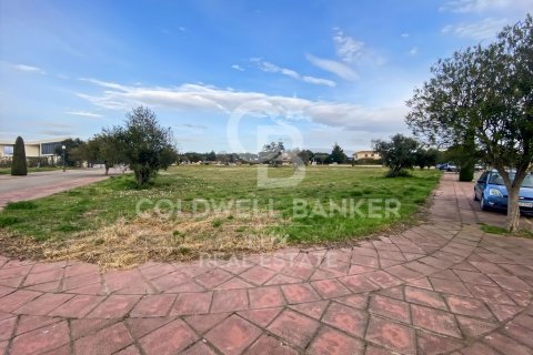 Parcela de 5728 m² en venta en Peralada, Gerona, Cataluña, Spain № 5766 - foto 12