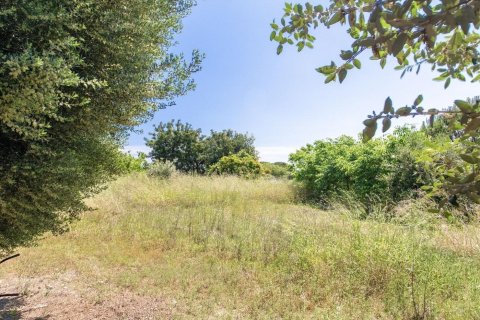 Parcela en venta en Sant Vicenc De Montalt, Barcelona, Cataluña, Spain № 1327 - foto 4