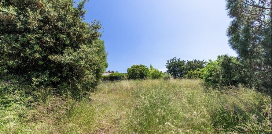 Parcela en venta en Sant Vicenc De Montalt, Barcelona, Cataluña, Spain № 1327