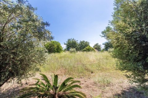Parcela en venta en Sant Vicenc De Montalt, Barcelona, Cataluña, Spain № 1327 - foto 6