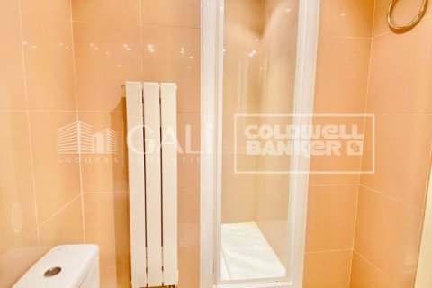 Ático de 4 dormitorios en alquiler en Principado De Andorra (Ninguna Poblacion Tiene C.P.), Lérida, Cataluña, Spain № 7680 - foto 8