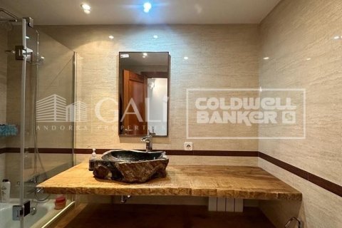 Apartamento de 2 dormitorios en alquiler en Principado De Andorra (Ninguna Poblacion Tiene C.P.), Lérida, Cataluña, Spain № 7683 - foto 5