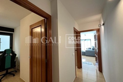 Apartamento de 2 dormitorios en alquiler en Principado De Andorra (Ninguna Poblacion Tiene C.P.), Lérida, Cataluña, Spain № 7683 - foto 4