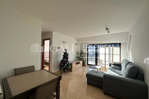 Apartamento de 2 dormitorios en alquiler en Principado De Andorra (Ninguna Poblacion Tiene C.P.), Lérida, Cataluña, Spain № 7683