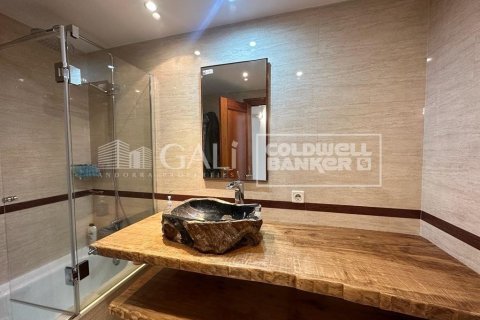 Apartamento de 2 dormitorios en alquiler en Principado De Andorra (Ninguna Poblacion Tiene C.P.), Lérida, Cataluña, Spain № 7683 - foto 6