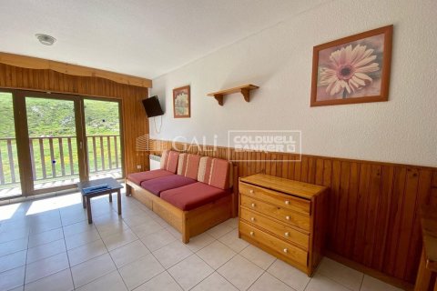 Apartamento de 52 m² en alquiler en Principado De Andorra (Ninguna Poblacion Tiene C.P.), Lérida, Cataluña, Spain № 7681 - foto 22