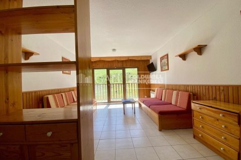 Apartamento de 52 m² en alquiler en Principado De Andorra (Ninguna Poblacion Tiene C.P.), Lérida, Cataluña, Spain № 7681 - foto 19