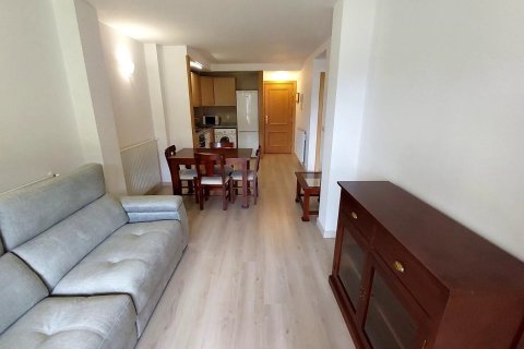 Apartamento de 3 dormitorios en alquiler en Principado De Andorra (Ninguna Poblacion Tiene C.P.), Lérida, Cataluña, Spain № 8000 - foto 3