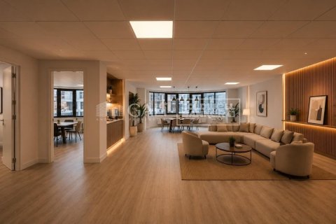 146 sq.m. office for rent in Principado De Andorra (Ninguna Poblacion Tiene C.P.), Lleida, Catalonia, Spain № 8003