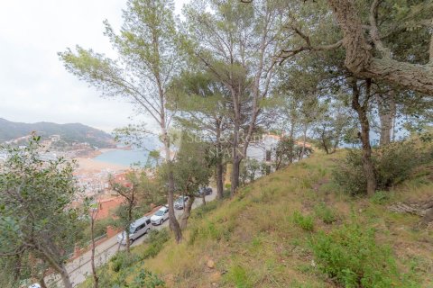 Parcela de 1131 m² en venta en Tossa de Mar, Gerona, Cataluña, Spain № 6672