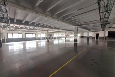 7623 sq.m. commercial property for rent in Principado De Andorra (Ninguna Poblacion Tiene C.P.), Lleida, Catalonia, Spain № 6146 - photo 13