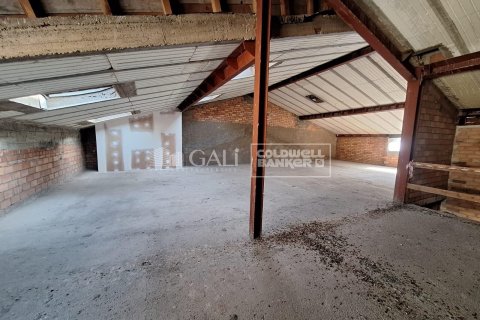 7623 sq.m. commercial property for rent in Principado De Andorra (Ninguna Poblacion Tiene C.P.), Lleida, Catalonia, Spain № 6146 - photo 26