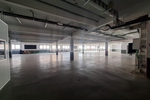 7623 sq.m. commercial property for rent in Principado De Andorra (Ninguna Poblacion Tiene C.P.), Lleida, Catalonia, Spain № 6146 - photo 10