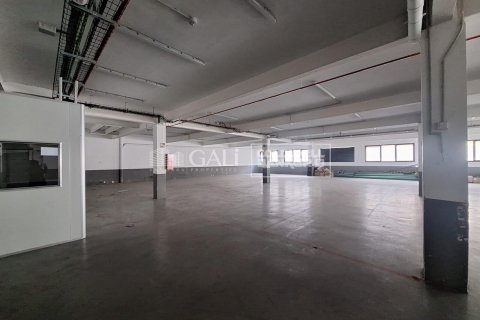 7623 sq.m. commercial property for rent in Principado De Andorra (Ninguna Poblacion Tiene C.P.), Lleida, Catalonia, Spain № 6146 - photo 8
