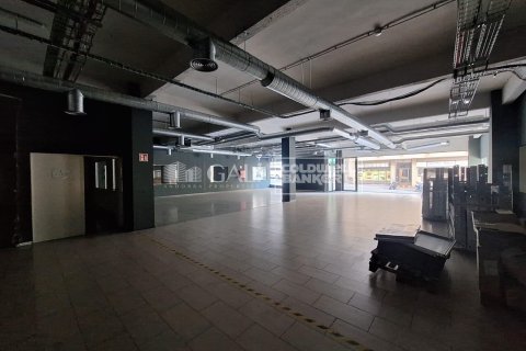 7623 sq.m. commercial property for rent in Principado De Andorra (Ninguna Poblacion Tiene C.P.), Lleida, Catalonia, Spain № 6146 - photo 16