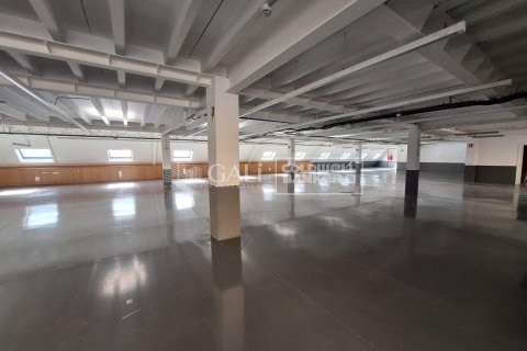7623 sq.m. commercial property for rent in Principado De Andorra (Ninguna Poblacion Tiene C.P.), Lleida, Catalonia, Spain № 6146 - photo 12