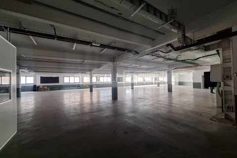 7623 sq.m. commercial property for rent in Principado De Andorra (Ninguna Poblacion Tiene C.P.), Lleida, Catalonia, Spain № 6146 - photo 21