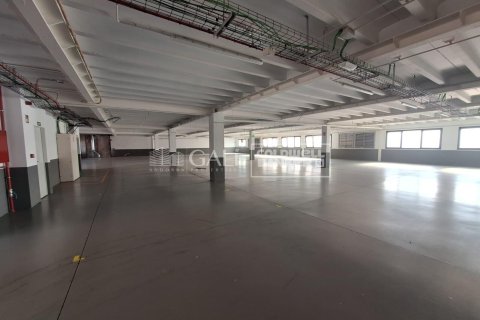 7623 sq.m. commercial property for rent in Principado De Andorra (Ninguna Poblacion Tiene C.P.), Lleida, Catalonia, Spain № 6146 - photo 14