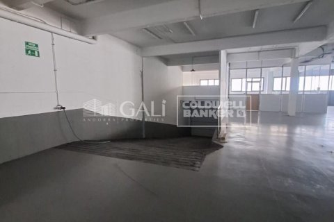 7623 sq.m. commercial property for rent in Principado De Andorra (Ninguna Poblacion Tiene C.P.), Lleida, Catalonia, Spain № 6146 - photo 18