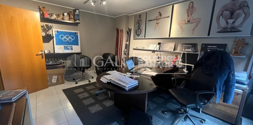232 sq.m. office for rent in Principado De Andorra (Ninguna Poblacion Tiene C.P.), Lleida, Catalonia, Spain № 6141