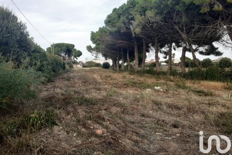 21004 sq.m. land plot for sale in Cambrils, Tarragona, Catalonia, Spain № 7571 - photo 3
