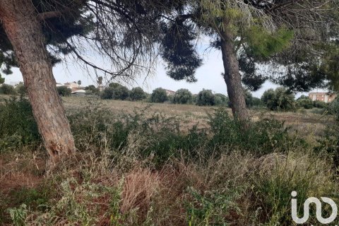 21004 sq.m. land plot for sale in Cambrils, Tarragona, Catalonia, Spain № 7571 - photo 5