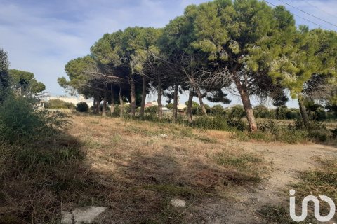 21004 sq.m. land plot for sale in Cambrils, Tarragona, Catalonia, Spain № 7571 - photo 8
