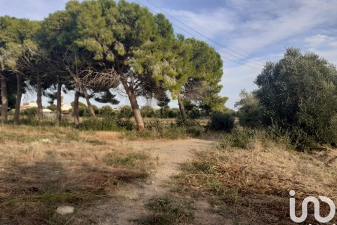 21004 sq.m. land plot for sale in Cambrils, Tarragona, Catalonia, Spain № 7571 - photo 2