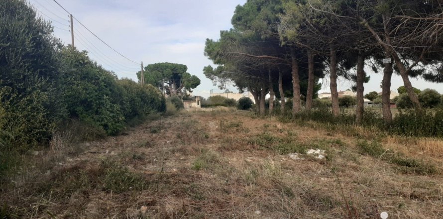 21004 sq.m. land plot for sale in Cambrils, Tarragona, Catalonia, Spain № 7571