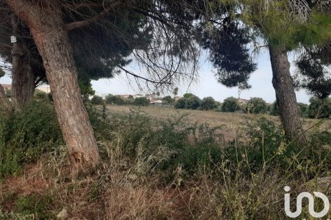 21004 sq.m. land plot for sale in Cambrils, Tarragona, Catalonia, Spain № 7571 - photo 6