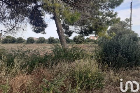 21004 sq.m. land plot for sale in Cambrils, Tarragona, Catalonia, Spain № 7571 - photo 7