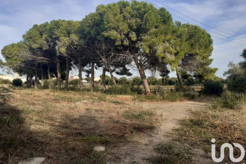 21004 sq.m. land plot for sale in Cambrils, Tarragona, Catalonia, Spain № 7571 - photo 4