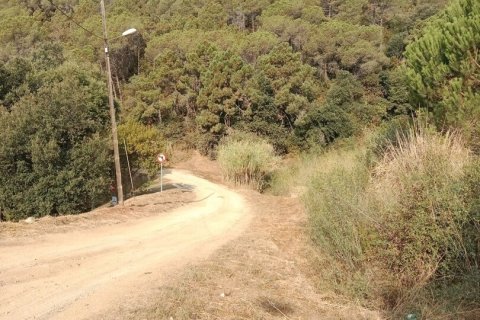 11000 sq.m. land plot for sale in Sant Cebria De Vallalta, Barcelona, Catalonia, Spain № 5113 - photo 2