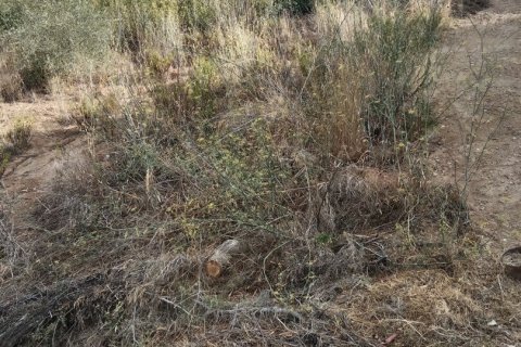 11000 sq.m. land plot for sale in Sant Cebria De Vallalta, Barcelona, Catalonia, Spain № 5113 - photo 5
