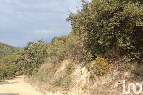 11000 sq.m. land plot for sale in Sant Cebria De Vallalta, Barcelona, Catalonia, Spain № 5113 - photo 15