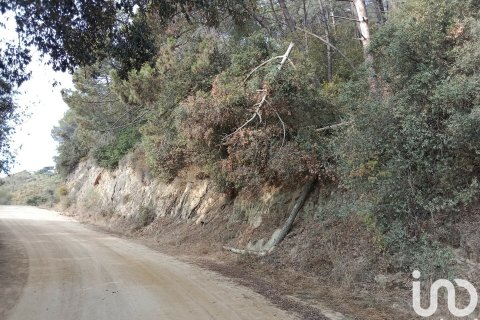 11000 sq.m. land plot for sale in Sant Cebria De Vallalta, Barcelona, Catalonia, Spain № 5113 - photo 7