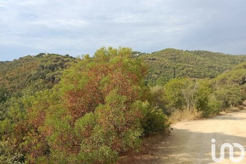 Parcela de 11000 m² en venta en Sant Cebrià de Vallalta, Barcelona, Cataluña, Spain № 5113