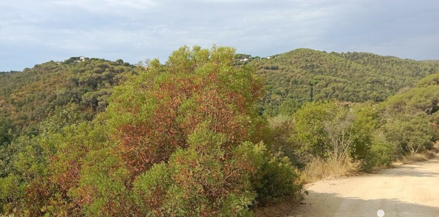 11000 sq.m. land plot for sale in Sant Cebria De Vallalta, Barcelona, Catalonia, Spain № 5113
