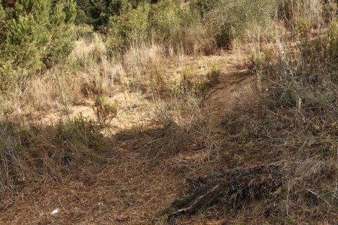 11000 sq.m. land plot for sale in Sant Cebria De Vallalta, Barcelona, Catalonia, Spain № 5113 - photo 6