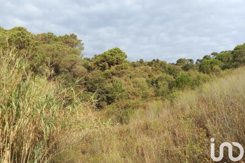11000 sq.m. land plot for sale in Sant Cebria De Vallalta, Barcelona, Catalonia, Spain № 5113 - photo 8