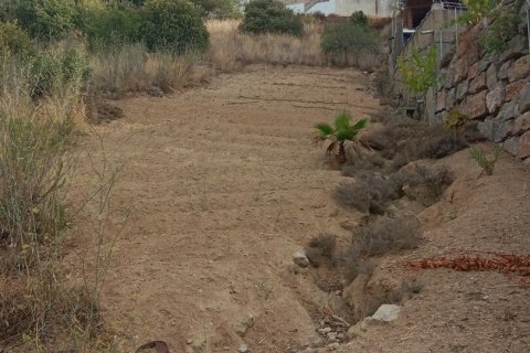 11000 sq.m. land plot for sale in Sant Cebria De Vallalta, Barcelona, Catalonia, Spain № 5113 - photo 3