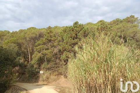 11000 sq.m. land plot for sale in Sant Cebria De Vallalta, Barcelona, Catalonia, Spain № 5113 - photo 9