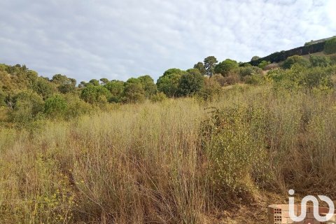 11000 sq.m. land plot for sale in Sant Cebria De Vallalta, Barcelona, Catalonia, Spain № 5113 - photo 4
