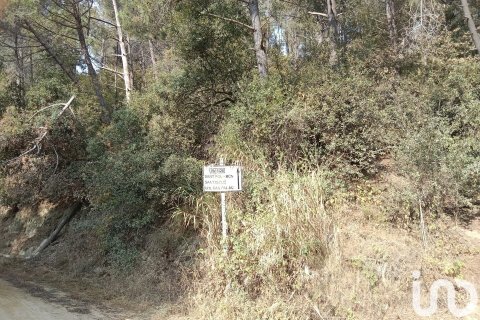 11000 sq.m. land plot for sale in Sant Cebria De Vallalta, Barcelona, Catalonia, Spain № 5113 - photo 10